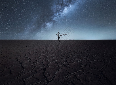 星空与树素材大地肌理背景