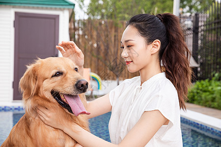 年轻美女主人与宠物金毛犬嬉戏图片