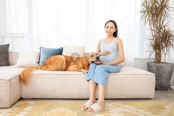 怀孕的美女和宠物金毛犬图片