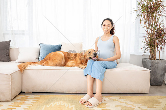 怀孕的美女和宠物金毛犬图片