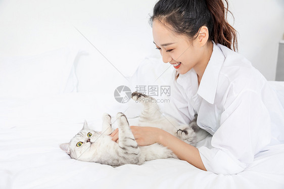 美女抱着宠物猫嬉戏图片