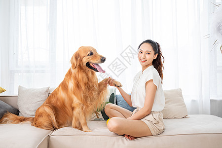 美女和金毛犬握手图片