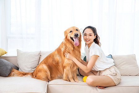 美女金毛犬宠物生活图片