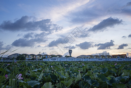 青岛机场背景图片