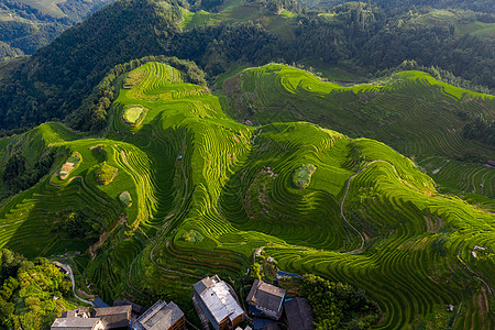 宣传片背景桂林龙脊梯田平安寨梯田航拍日出背景