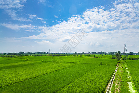 航拍白云农田全景风光背景