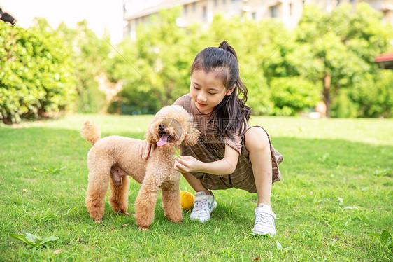 小女孩户外遛狗和狗玩耍图片