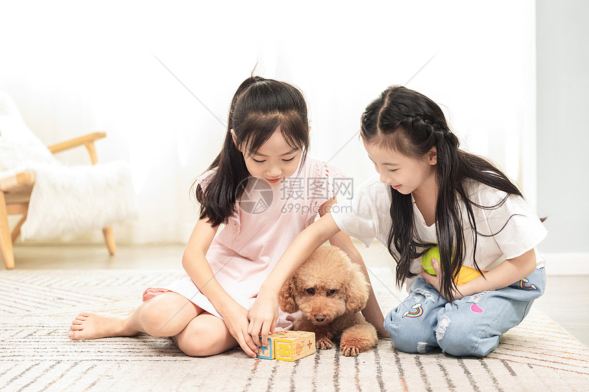 小女孩们居家和狗玩耍图片