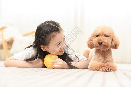 泰迪小狗小女孩一起和狗玩背景