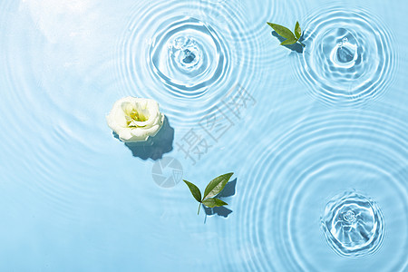夏季水波纹花瓣背景素材图片