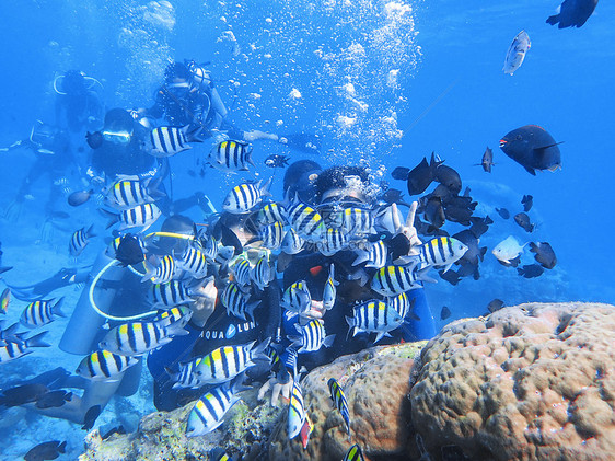 海岛潜水图片