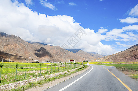 西藏高原公路图片