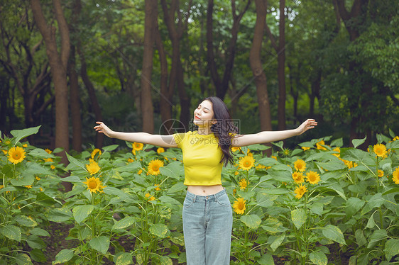 向日葵中的少女图片