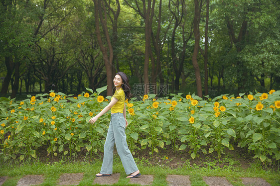 向日葵中的少女图片