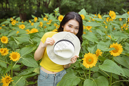 向日葵中的少女图片