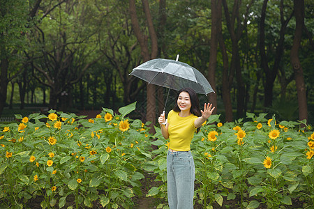 向日葵中撑伞漫步的少女图片