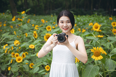 中国旅游日向日葵中拿着相机的少女背景