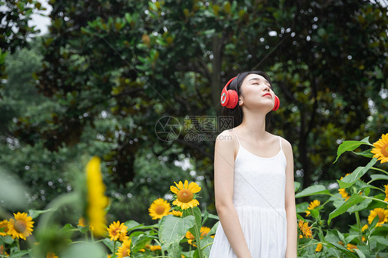 向日葵中戴耳机的少女图片