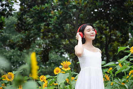 耳机女孩向日葵中听音乐机的少女背景