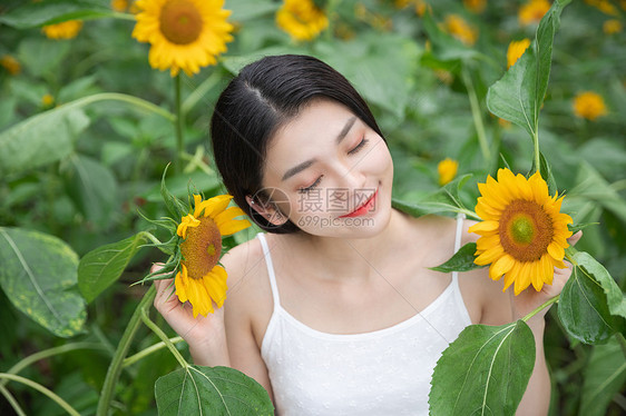 向日葵中的少女图片