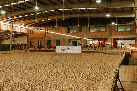马术训练场地背景图片