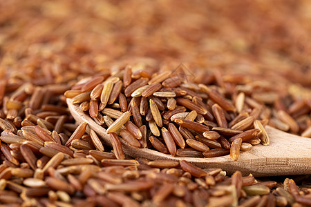 发芽糙米红米背景