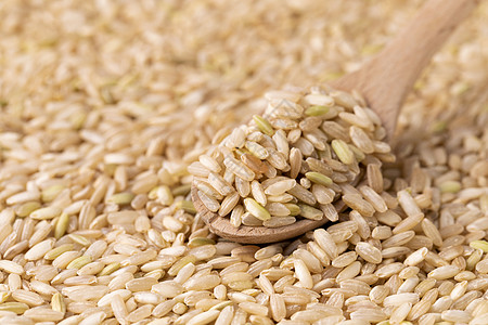 低脂糙米糙米背景