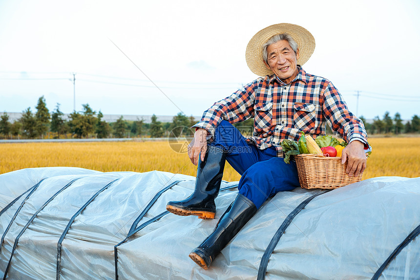 坐在麦垛上的丰收农民老伯图片