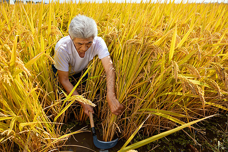 镰刀背景图片-镰刀背景素材-镰刀底图-摄图网