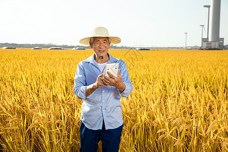 乡村农民丰收农村电商图片