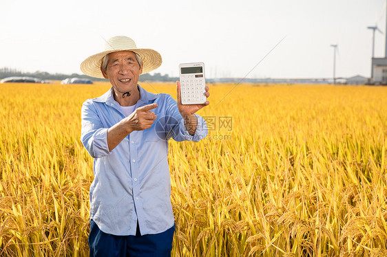 乡村农民丰收农村电商图片