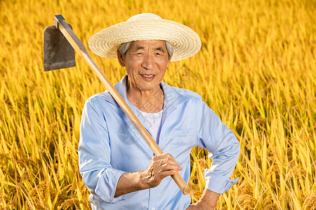 农民伯伯变土豪图片