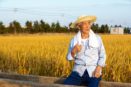 秋季丰收农民在稻田中休息图片