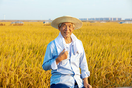 秋季丰收农民在稻田中休息图片