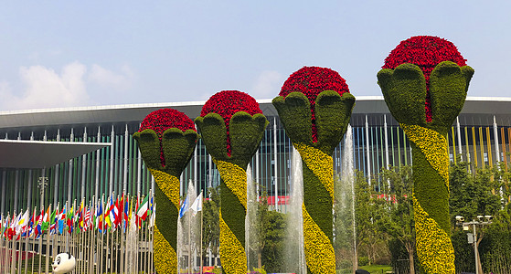 举办场馆上海国家会展中心背景图片