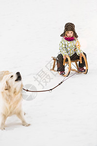 雪中狗拉雪橇图片