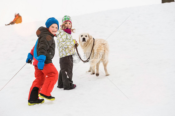 男孩和女孩在雪地里遛狗图片
