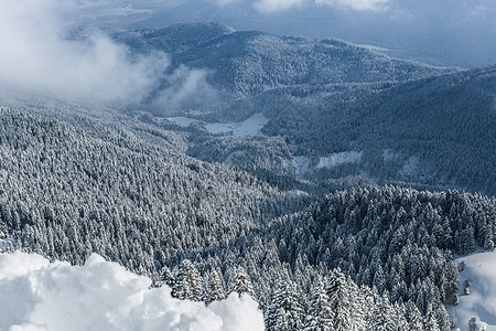 德国拜仁冷格里斯冰雪覆盖的山丘和森林俯视图图片