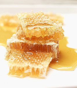 生蜂巢上的蜂蜜图片