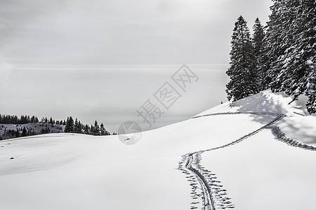 德国斯皮津西雪山上的铁轨视图图片