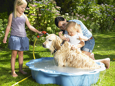动物与孩子母亲女儿和儿子给狗洗澡背景