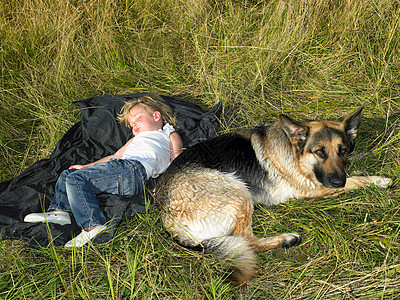 女孩在田野里睡觉旁边有只狗图片