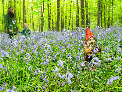 森林中的花园侏儒背景图片