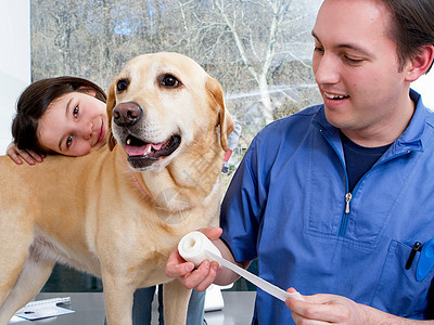 兽医和女孩和她的狗一起工作图片