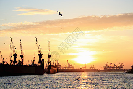 德国汉堡黄昏时港口起重机的轮廓图高清图片