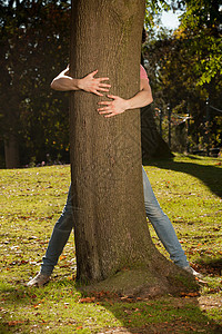 小男孩抱着公园里的树图片