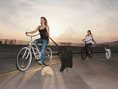 骑着狗拉着皮带骑车的女人图片