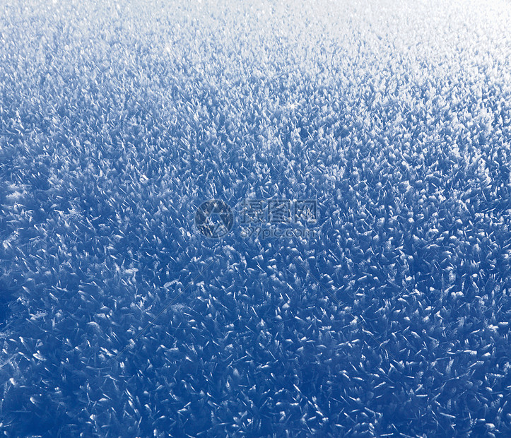 覆盖着冰晶的雪层图片