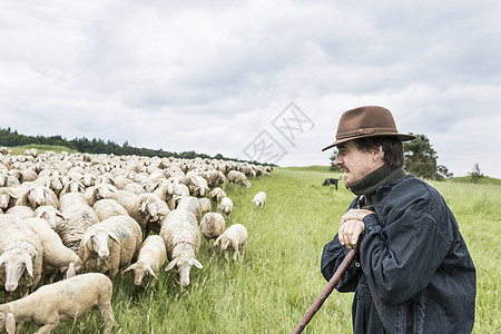 放羊的农民图片