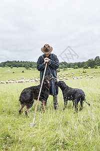 带着牧羊犬的农民图片